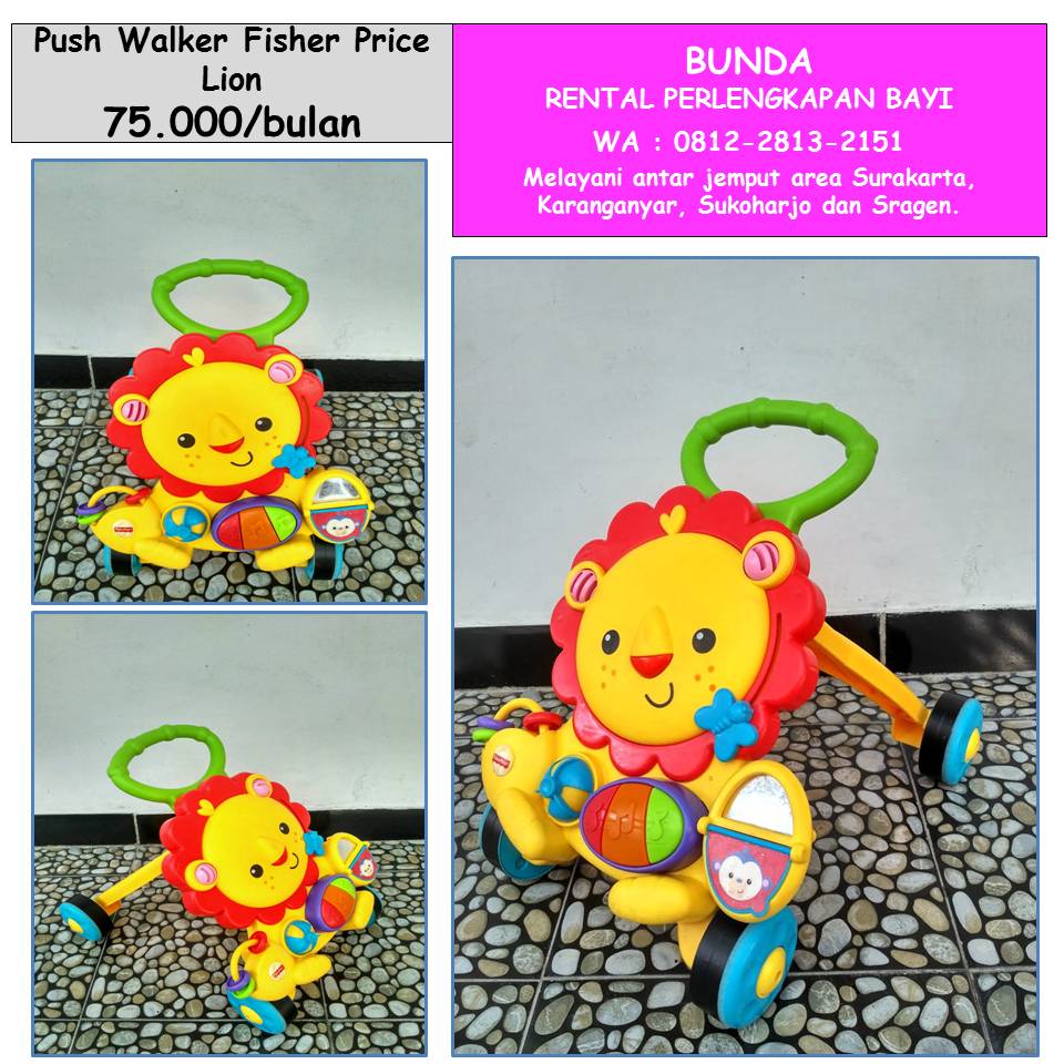 PUSH WALKER FISHER PRICE 2