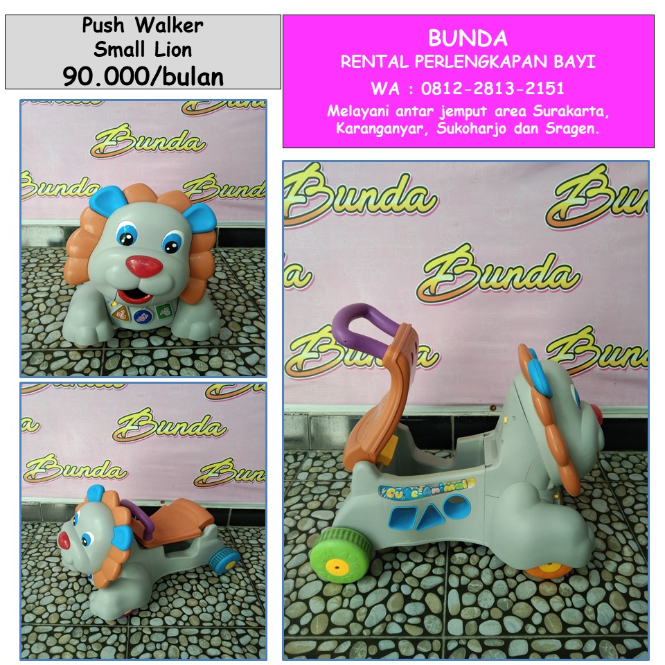 PUSH WALKER SMALL LION ABU (TS)