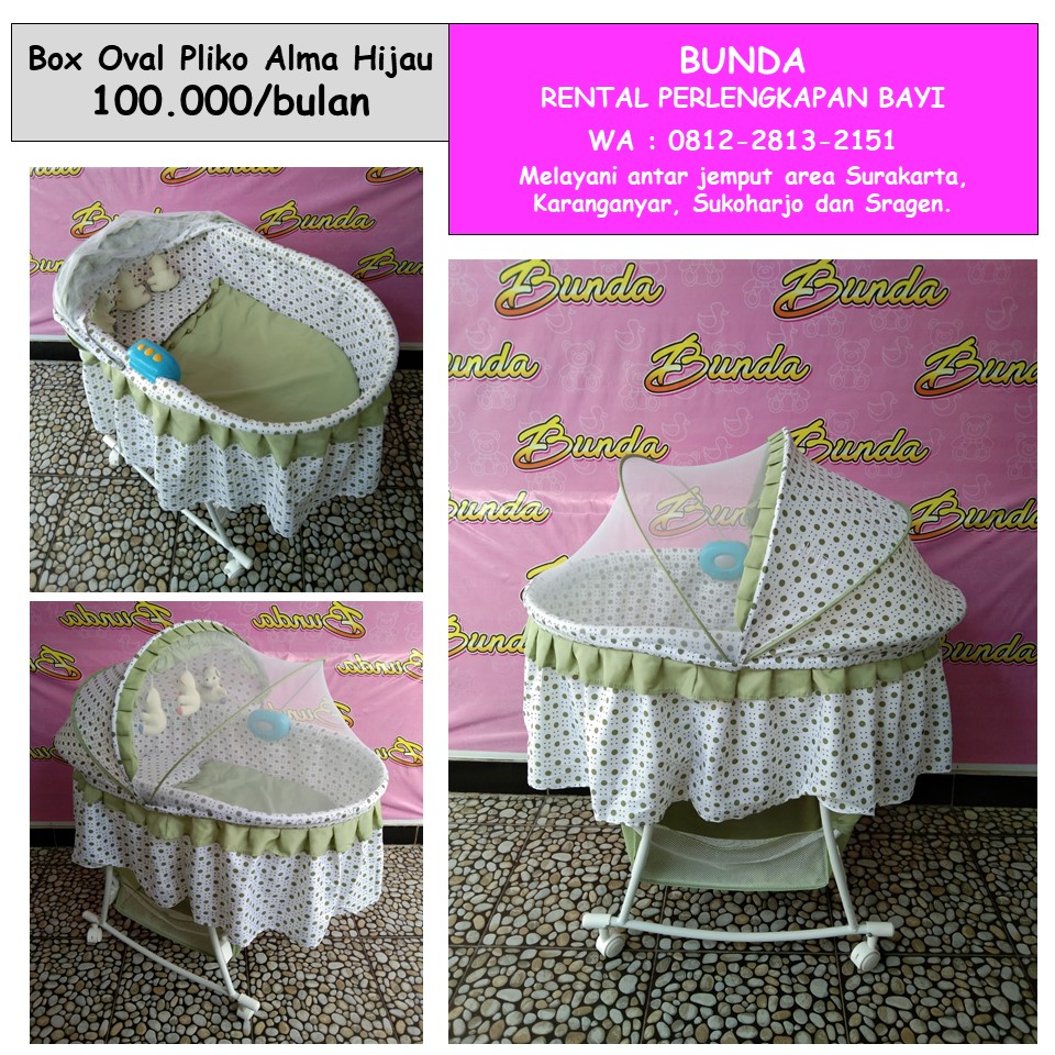 BOX OVAL PLIKO ALMA HIJAU