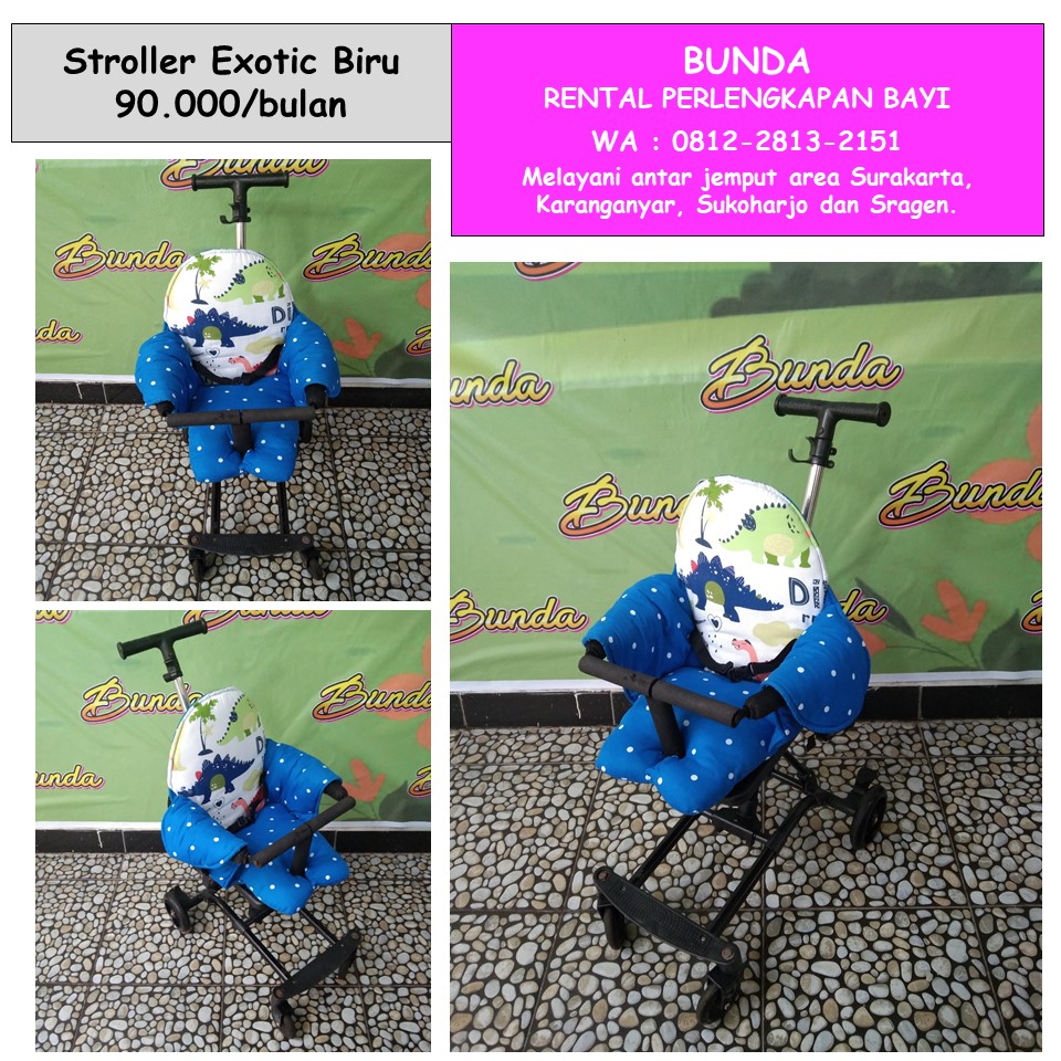 STROLLER EXOTIC BIRU