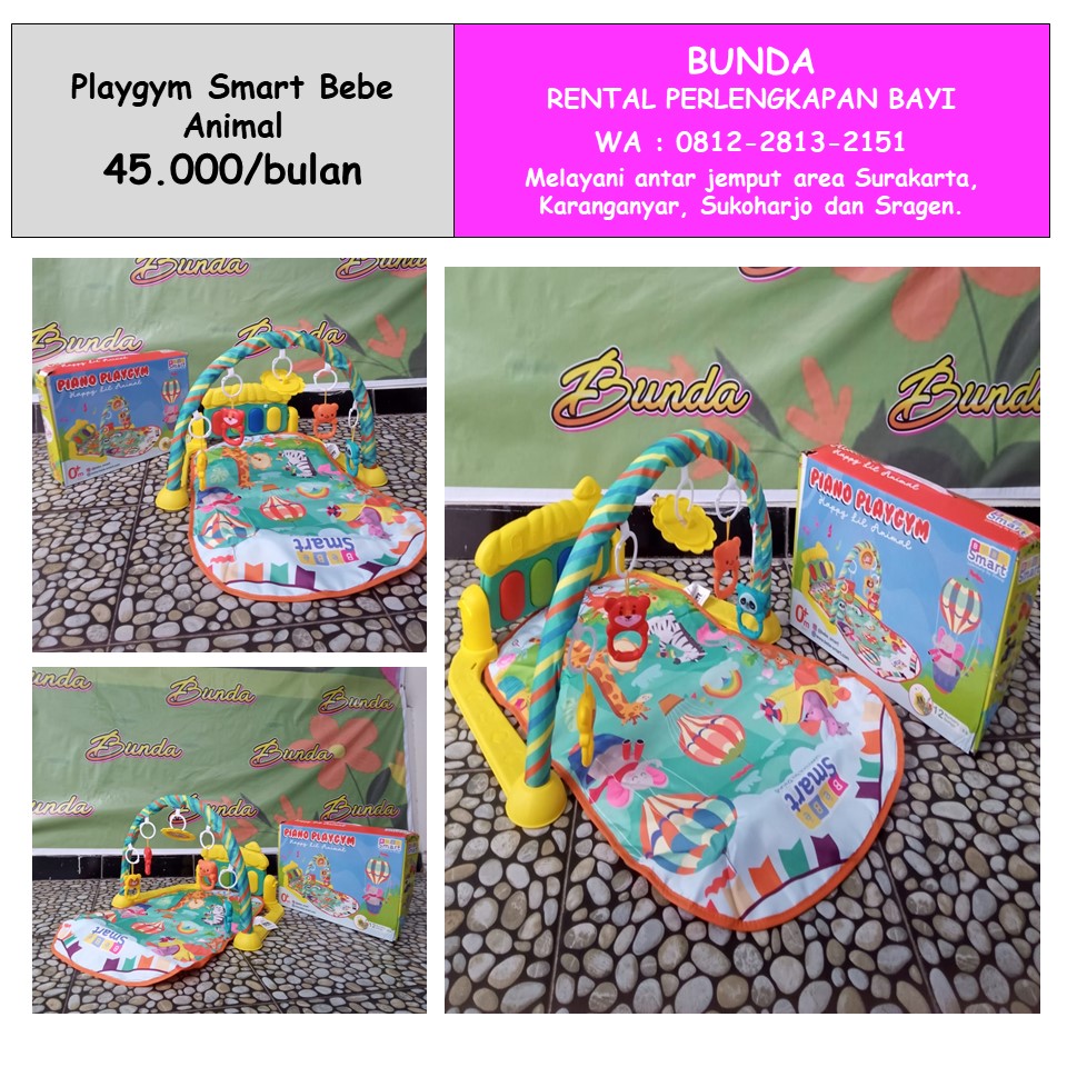 PLAYGYM BEBE SMART ANIMAL