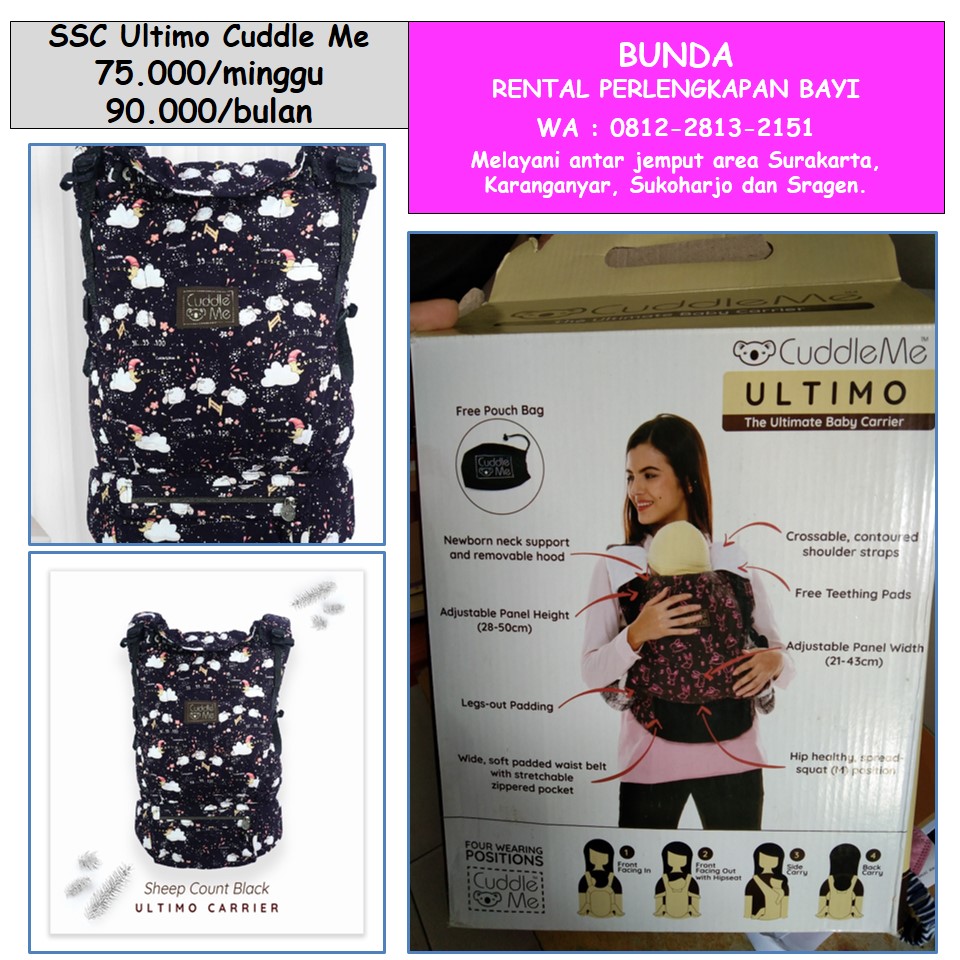 SSC ULTIMO CUDDLE ME SHEEP