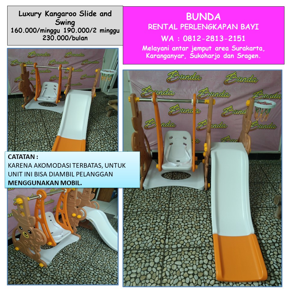 LUXURY KANGAROO SLIDE AND SWING