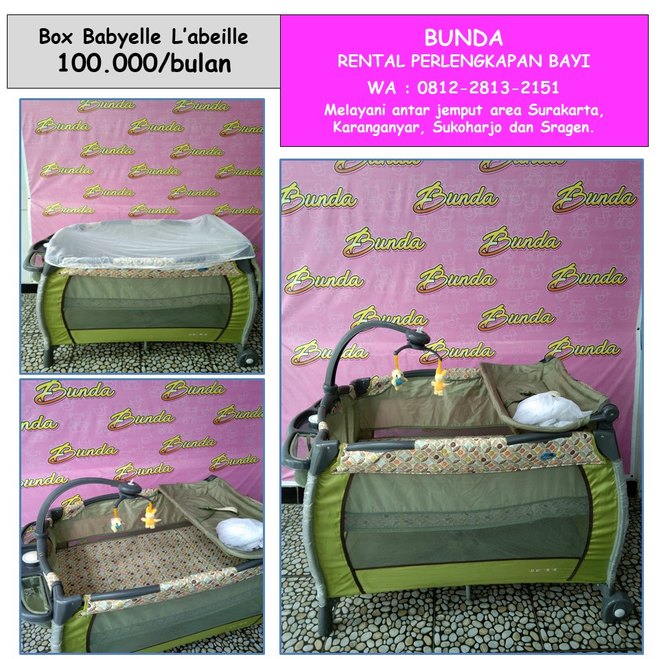 BOX L'ABEILLE HIJAU ARMY